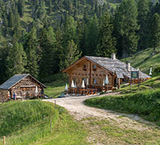© 2025 Auralpina