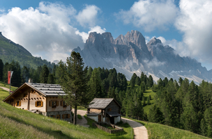 © 2025 Auralpina