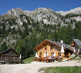 © 2025 Auralpina