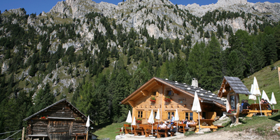 © 2025 Auralpina