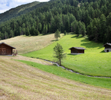 © 2025 Auralpina