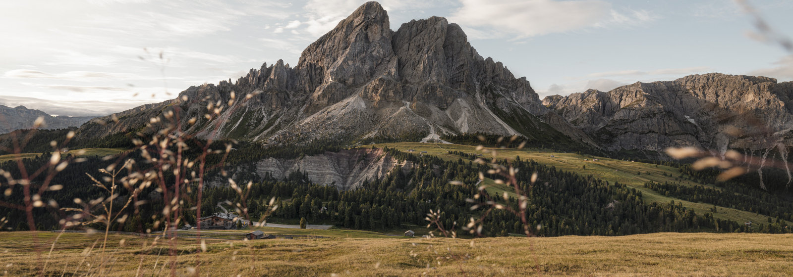 © 2025 Auralpina